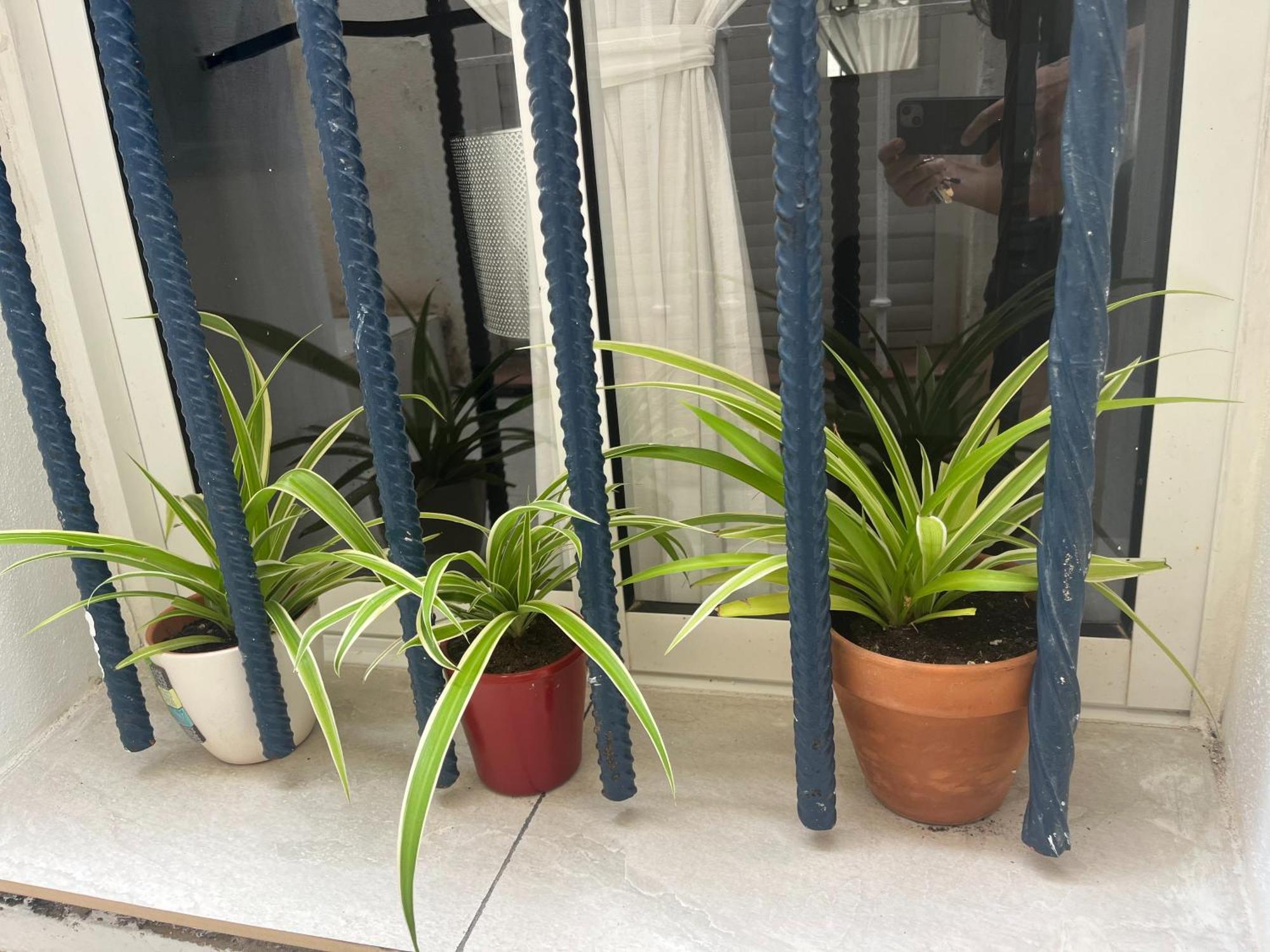 Casa Deniz Appartamento *